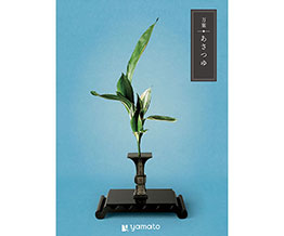 yTԂzt 䁄iAtj