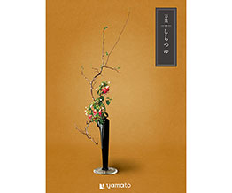 yTԂzt 䁄iAtj