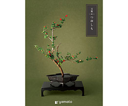 yTԂzt 䂵iAtj