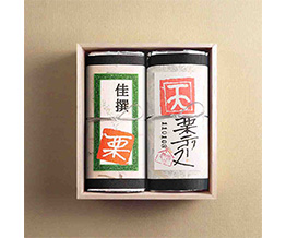 �������q��M�t�g�Z�b�g�q�ؔ�����E����1���t�r