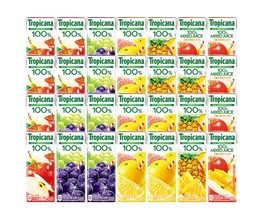 �y���ӍՉ��i�z�g���s�J�[�i�P�O�O���t���[�c�W���[�X���e��l����