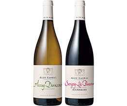 �u���S�[�j���Ԕ����C���Z�b�g