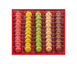 �}�J�������X�N�i�T�O�����j *