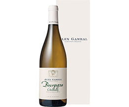 �u���S�[�j�������C�� *