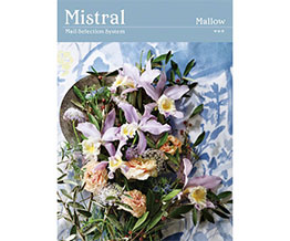 IׂMtg Mistral(~Xg) Mallow(}E)