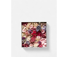 �t�����[�{�b�N�X �s���N ���C�I��