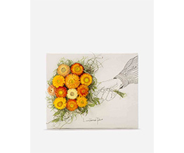 ���^�[�t�����[ SMILE �w���N���T�� �I�����W