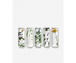 ���� ���u�� �T�Z�b�g a