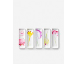 ���� ���u�� �T�Z�b�g �J�[�l�[�V����