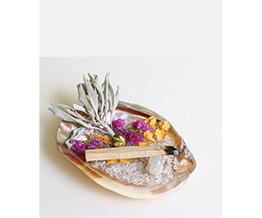 Deep Cleanse Aurora Pink Shell Plate set �p���T���g